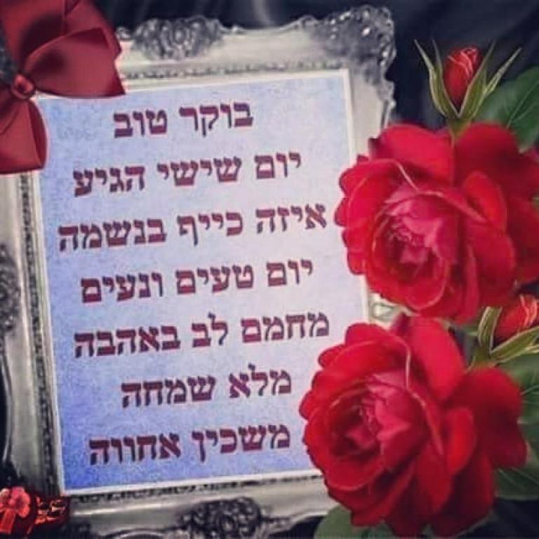 אלוני גישור אלוני גישור