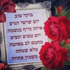 אלוני גישור