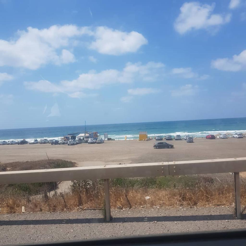 אלוני גישור אלוני גישור