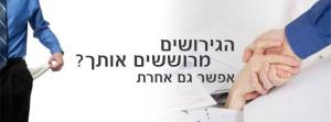 אלוני גישור