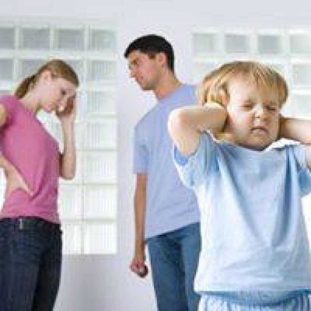 אלוני גישור אלוני גישור