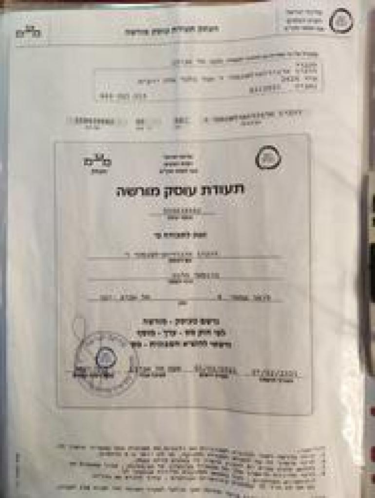 בונסאי פלנט בונסאי פלנט