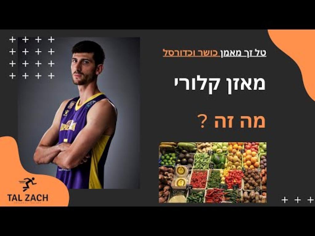 טל זך מאמן כדורסל טל זך מאמן כדורסל