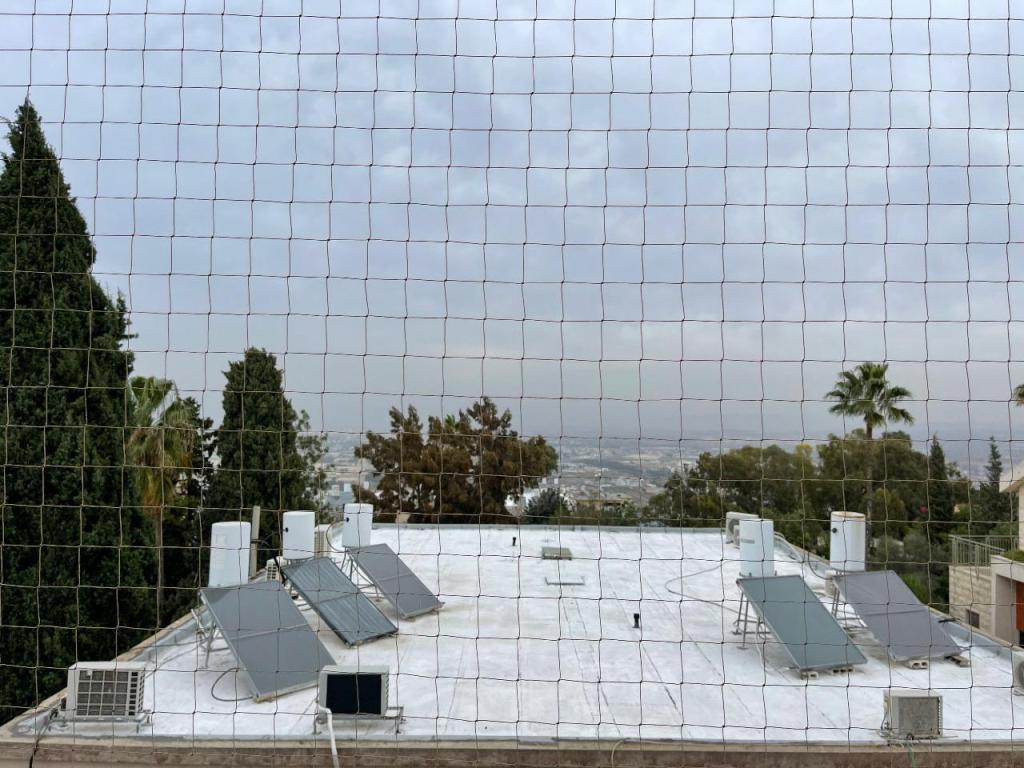 רוני לוונט רוני לוונט