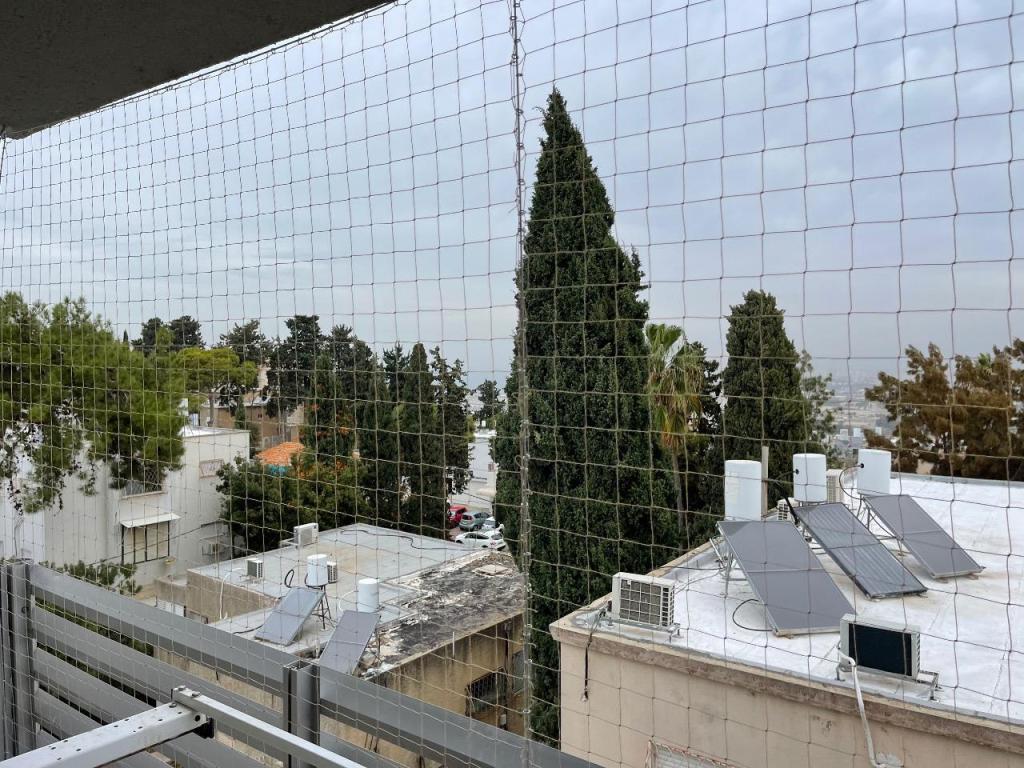 רוני לוונט רוני לוונט