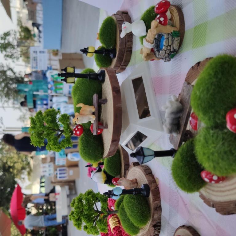 ברכה לנד ברכה לנד