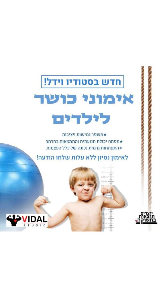 סטודיו וידל סטודיו וידל