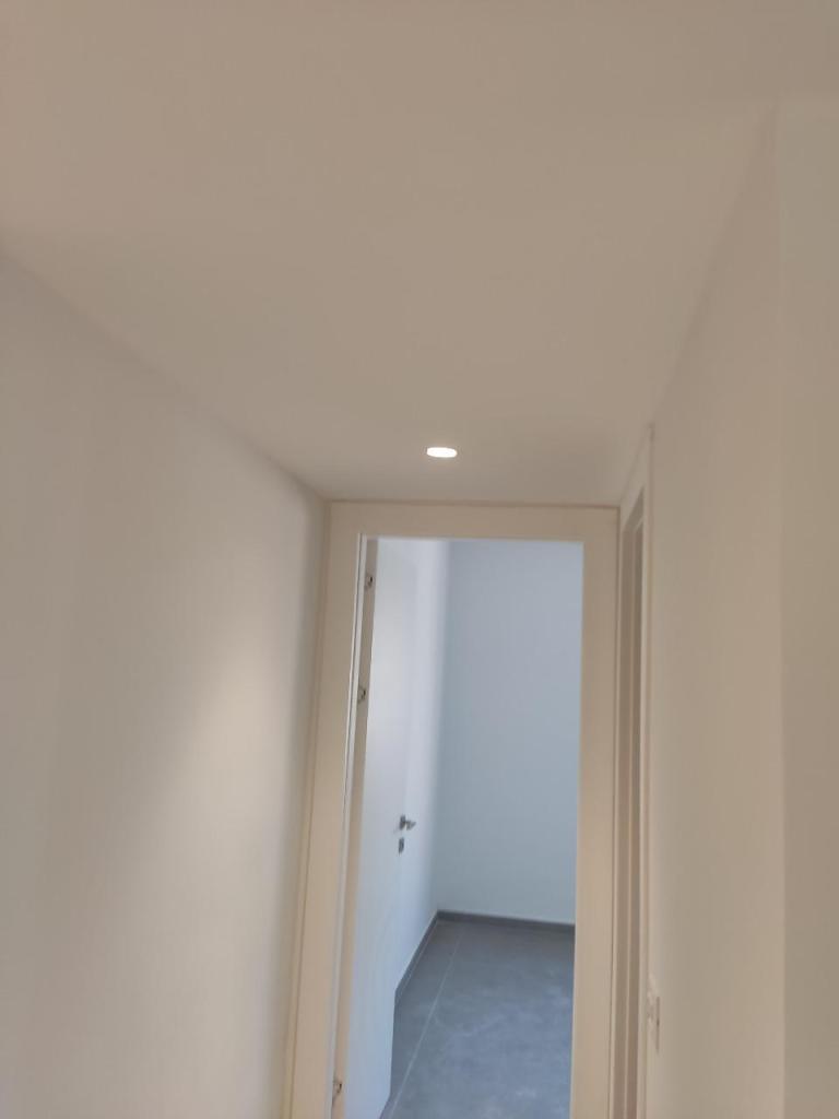 בראשית פרויקטים בראשית פרויקטים