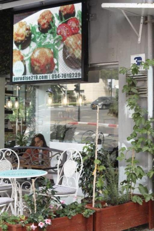 פרדייז פרדייז