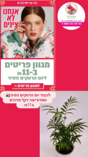 איצטרובל פרחים ומתנות