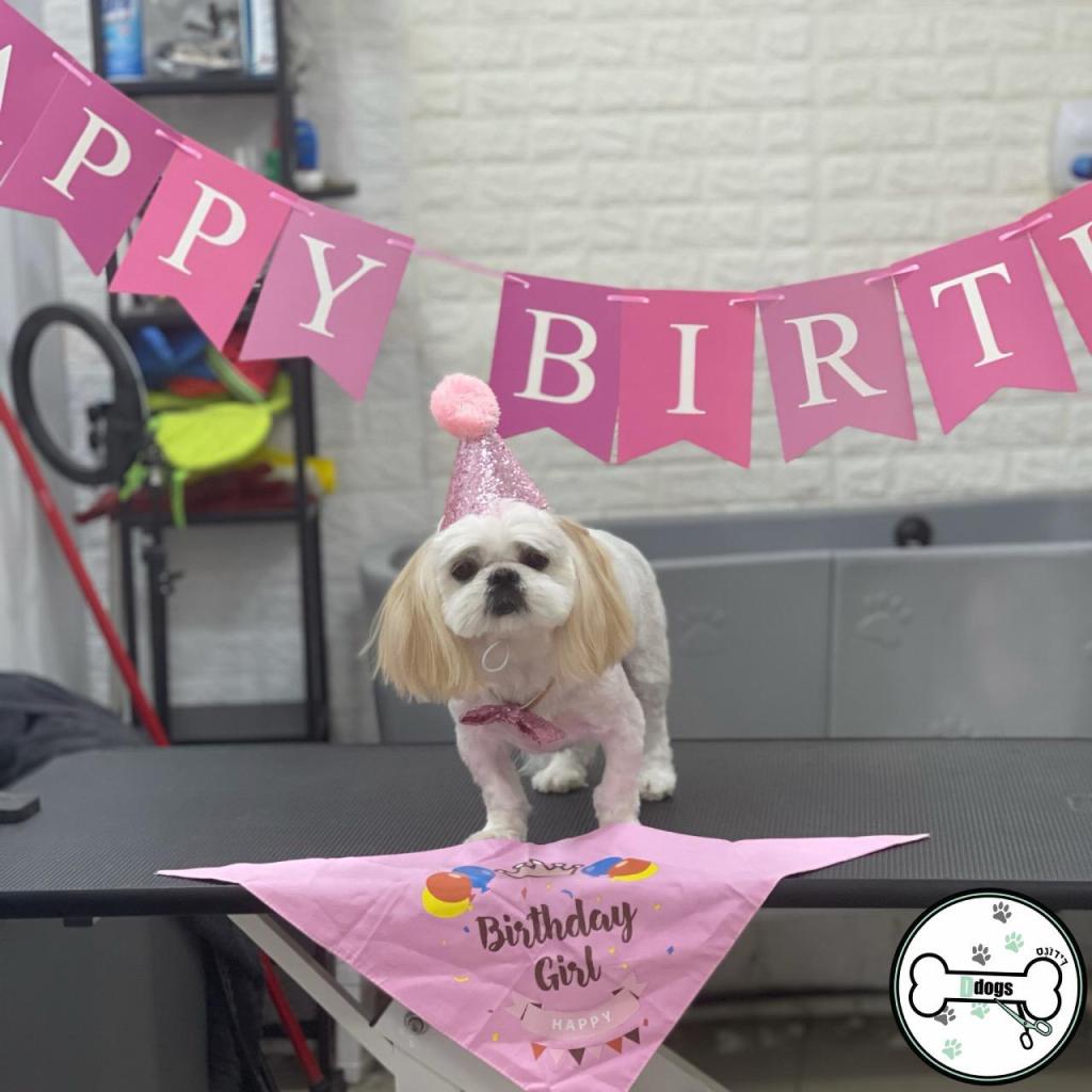 דידוגס דידוגס