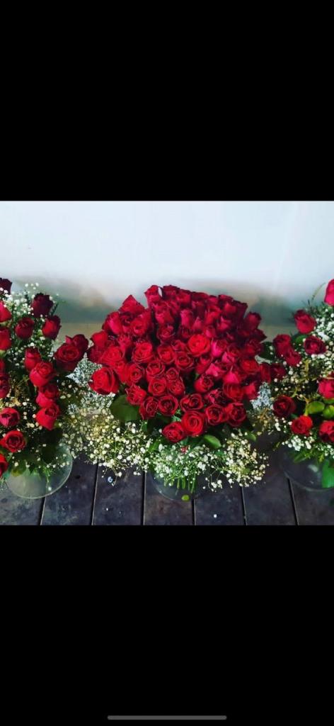 פרחים בצבע פרחים בצבע