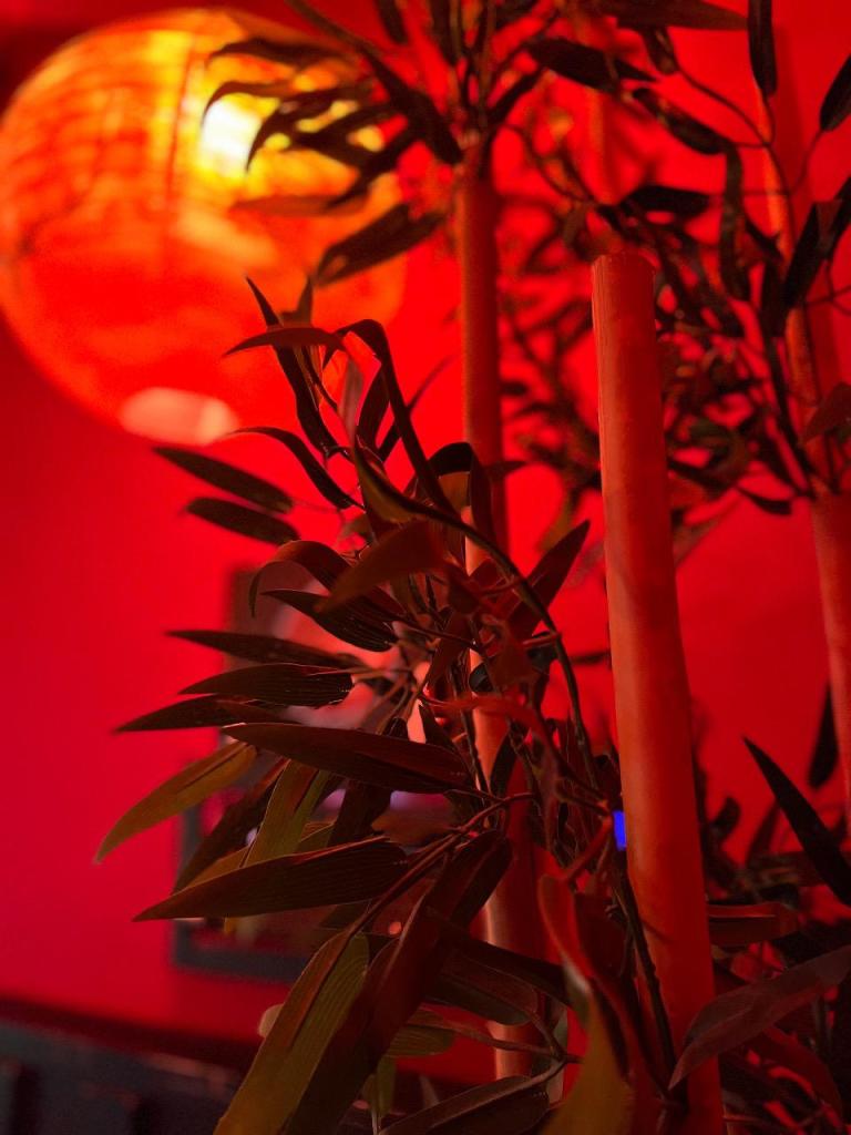 מקדש הקאמי מקדש הקאמי