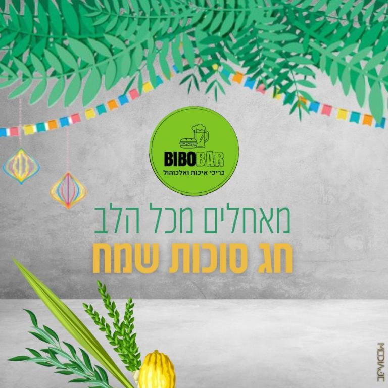 ביבו כריכי איכות ביבו כריכי איכות