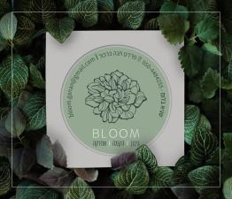 Bloom