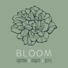 Bloom