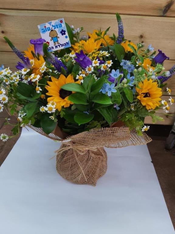 וינברגר פרחים בכפר וינברגר פרחים בכפר