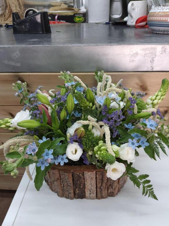 וינברגר פרחים בכפר וינברגר פרחים בכפר