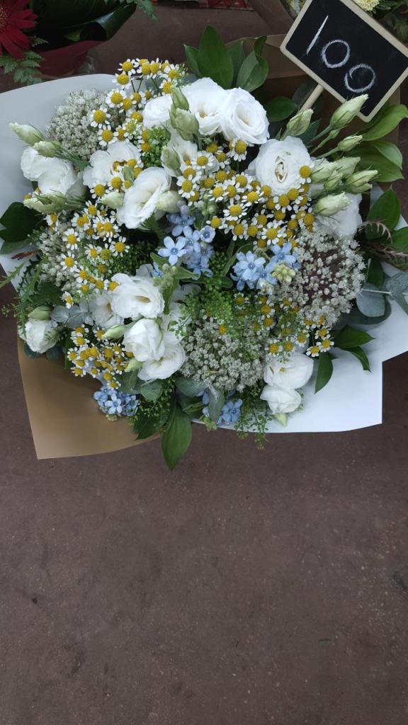 וינברגר פרחים בכפר וינברגר פרחים בכפר