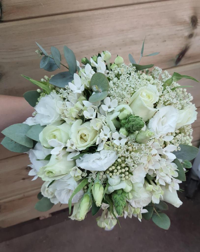 וינברגר פרחים בכפר וינברגר פרחים בכפר