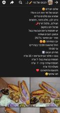 הבגט של מזי