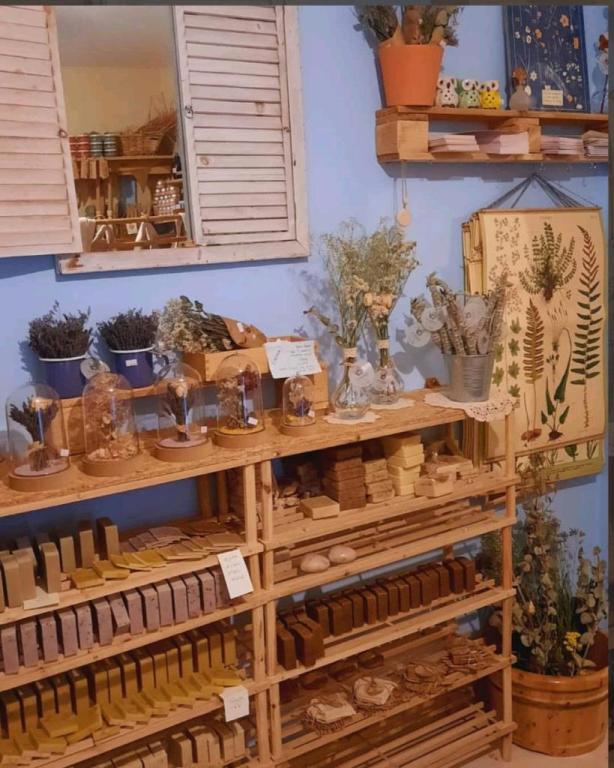 קמומילי קמומילי