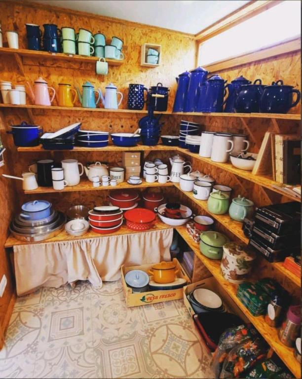 קמומילי קמומילי