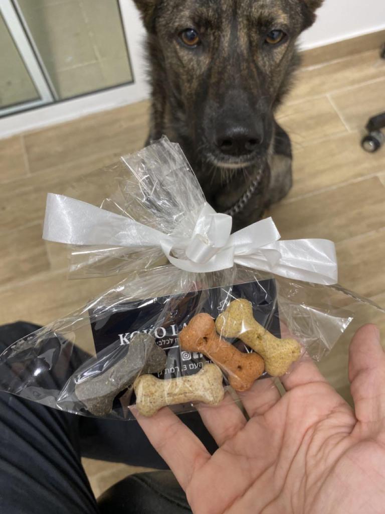 קוקו לה קלאס קוקו לה קלאס