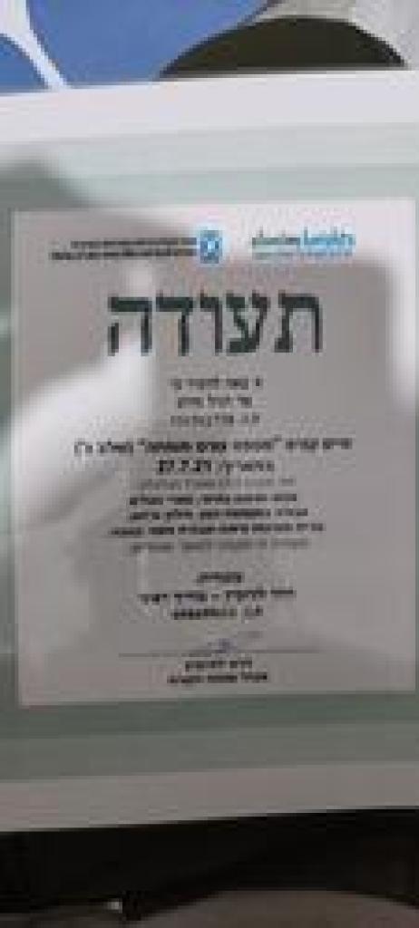 דניאל עבודות עץ וגיזום דניאל עבודות עץ וגיזום