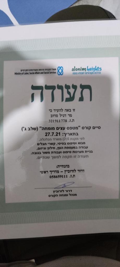 דניאל עבודות עץ וגיזום דניאל עבודות עץ וגיזום