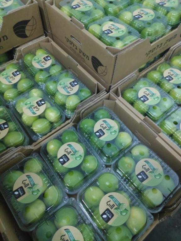 גרין גורמה גרין גורמה