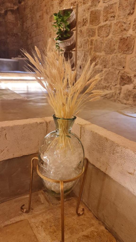 Honey Suite Honey Suite