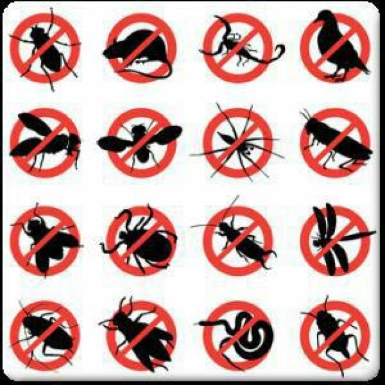 בסט הדברות בסט הדברות