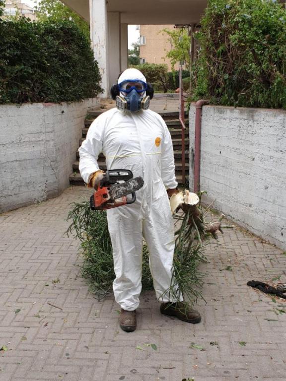 בסט הדברות בסט הדברות