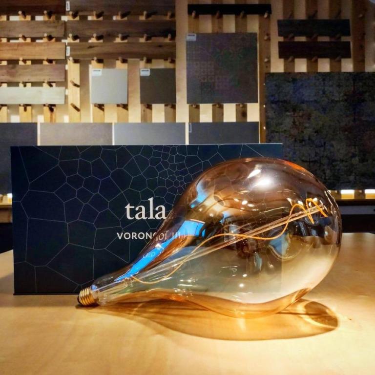 שוורץ גרופ שוורץ גרופ