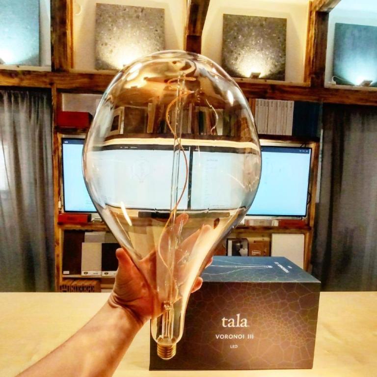 שוורץ גרופ שוורץ גרופ