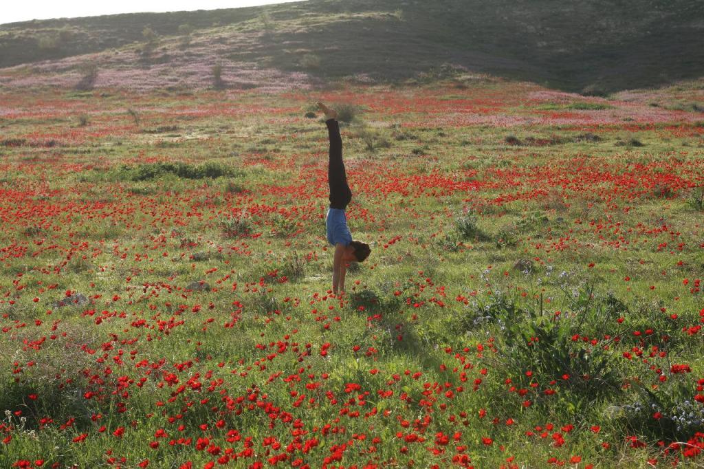 גילי שני יוגה גילי שני יוגה