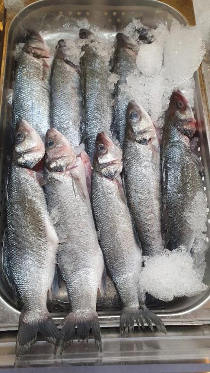 סולטן איברהים סולטן איברהים