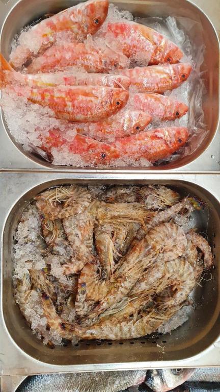 סולטן איברהים סולטן איברהים