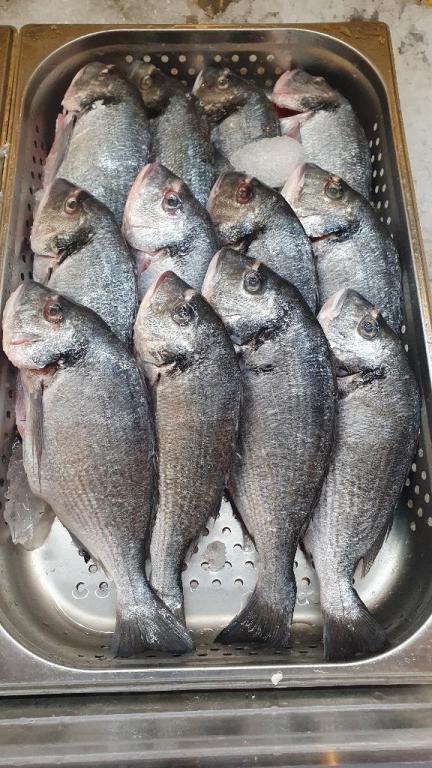 סולטן איברהים סולטן איברהים