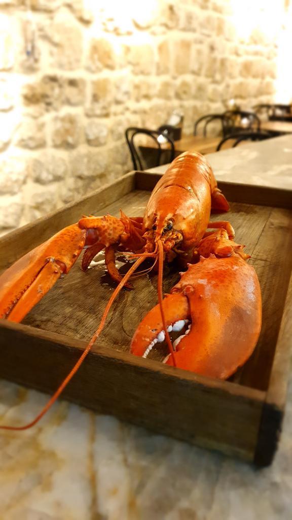 סולטן איברהים סולטן איברהים