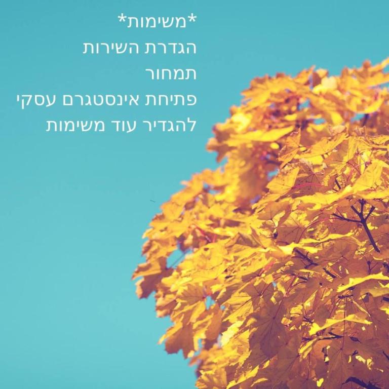 עדי שטרסמן עדי שטרסמן