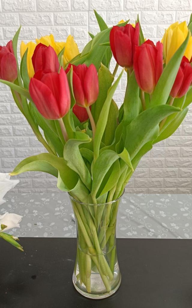 טיפה מהלב טיפה מהלב