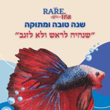 החברה הגלובלית