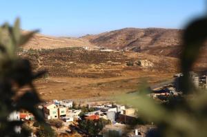 ALP Holiday