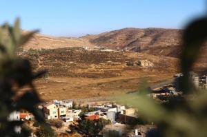 ALP Holiday