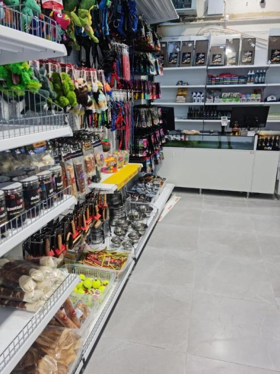 פאופט פאופט