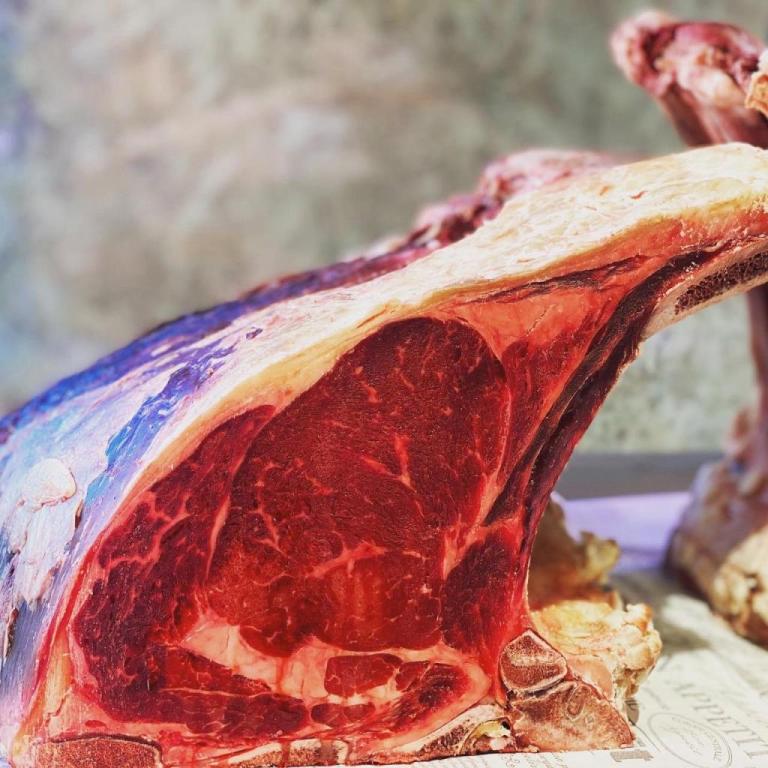 קורקבדוס שם עם בשר קורקבדוס שם עם בשר