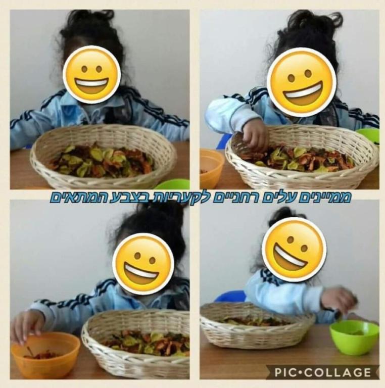 משפחתון חמשת חושים משפחתון חמשת חושים
