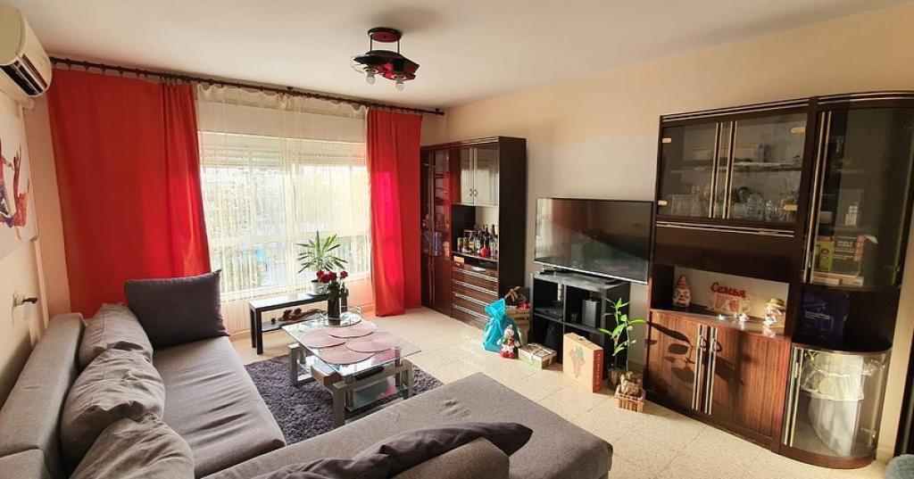 אמיר זגורסקי אמיר זגורסקי